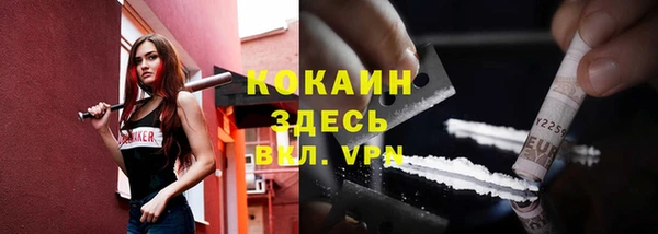 прущие грибы Арсеньев