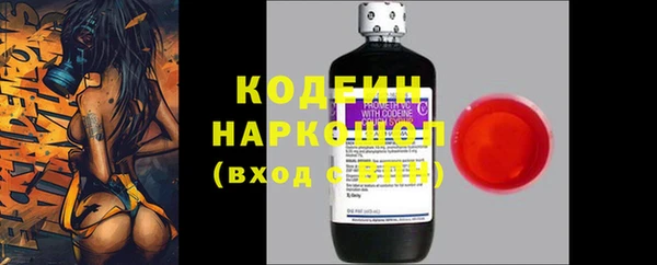прущий лед Осташков